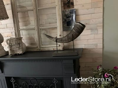 waterbuffel-hoorn-op-standaard-op-schouw-lisette-4